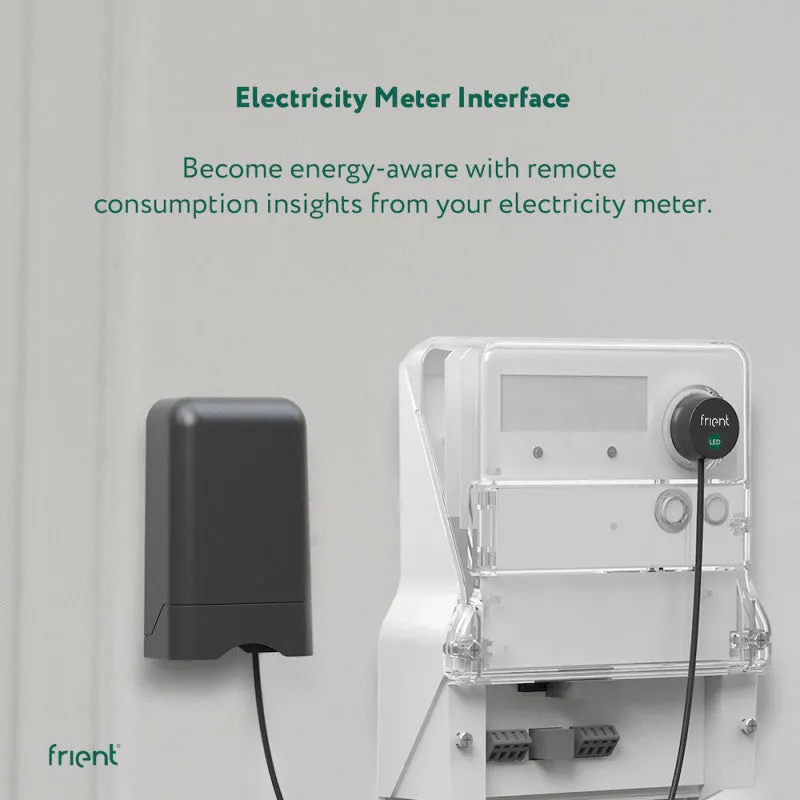 Develco frient Electricity Meter Interface