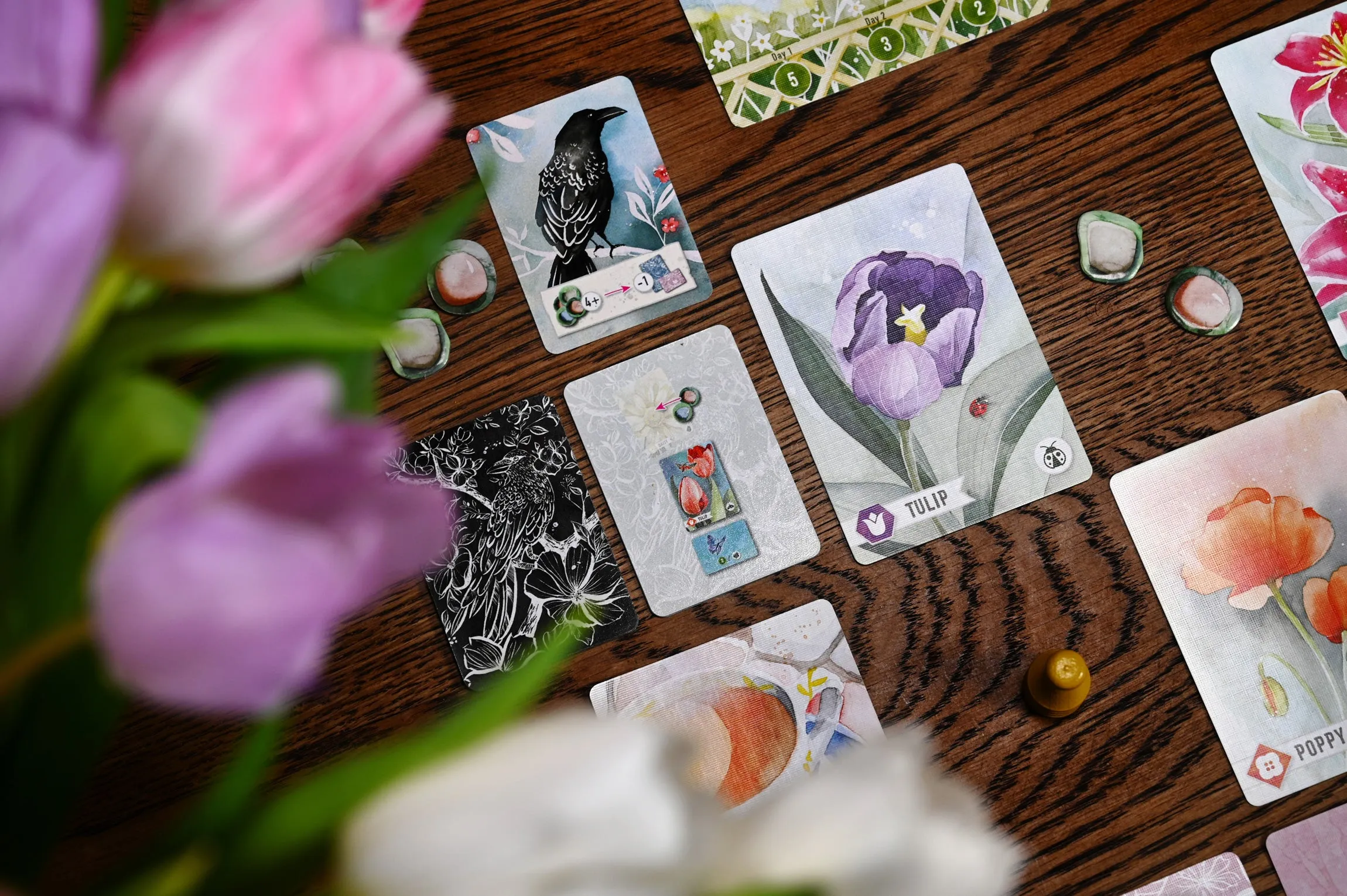 Floriferous   Expansion Bundle