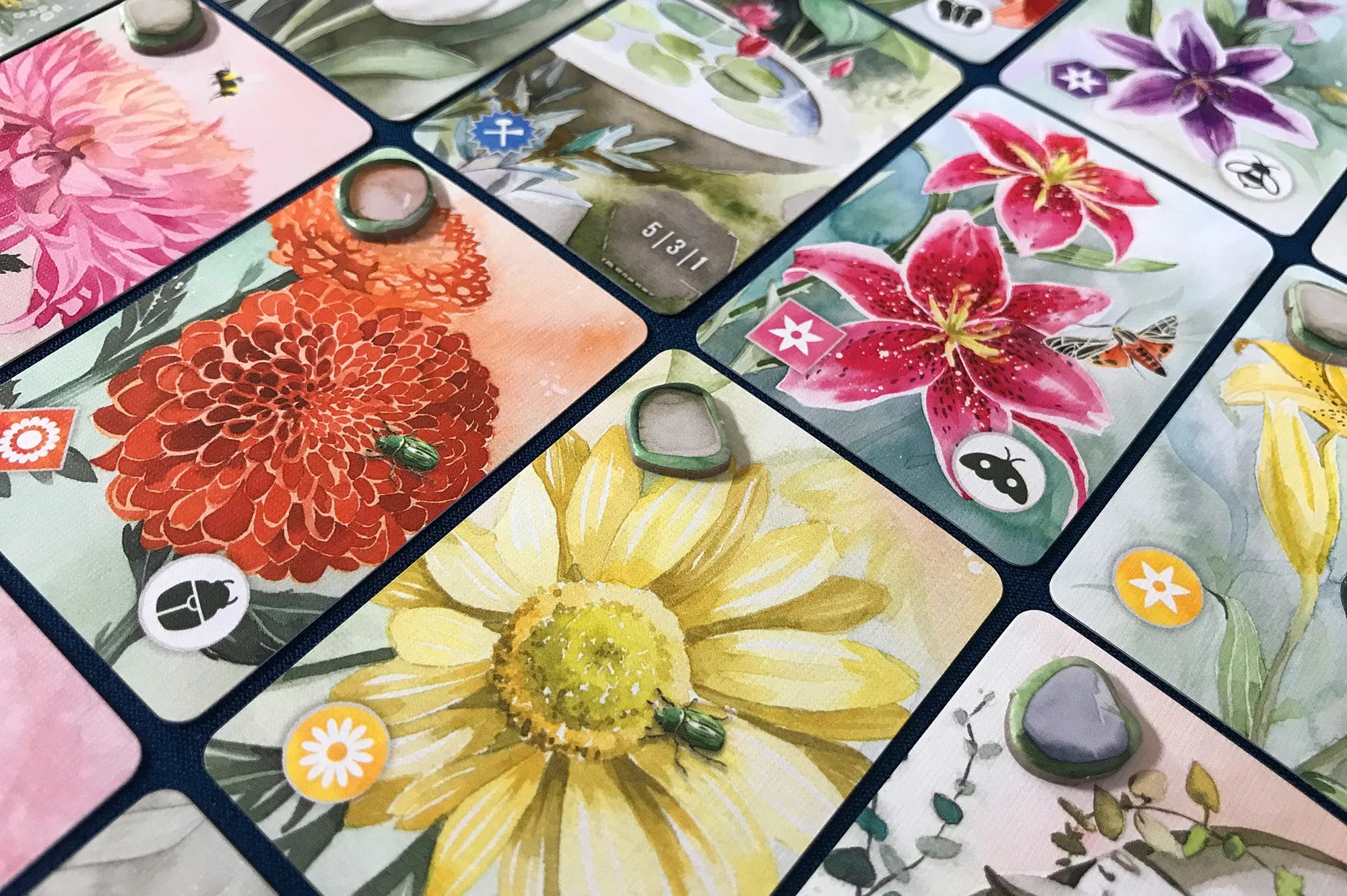 Floriferous: Pocket Edition   Expansion Bundle