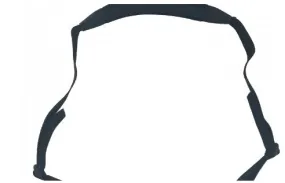 Strap set for Lightwriter SL50